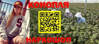 ГАЛЛЮЦИНОГЕННЫЕ ГРИБЫ Будённовск